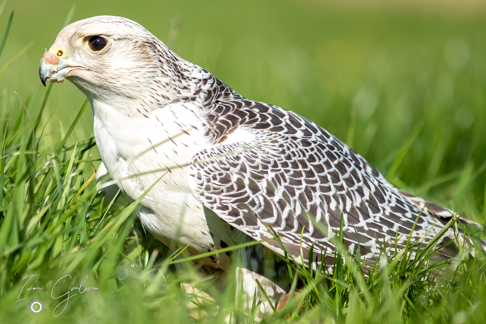 18 april 2022 103517 1DX49676